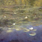 summer_reflections