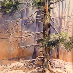 january-snow-600 \