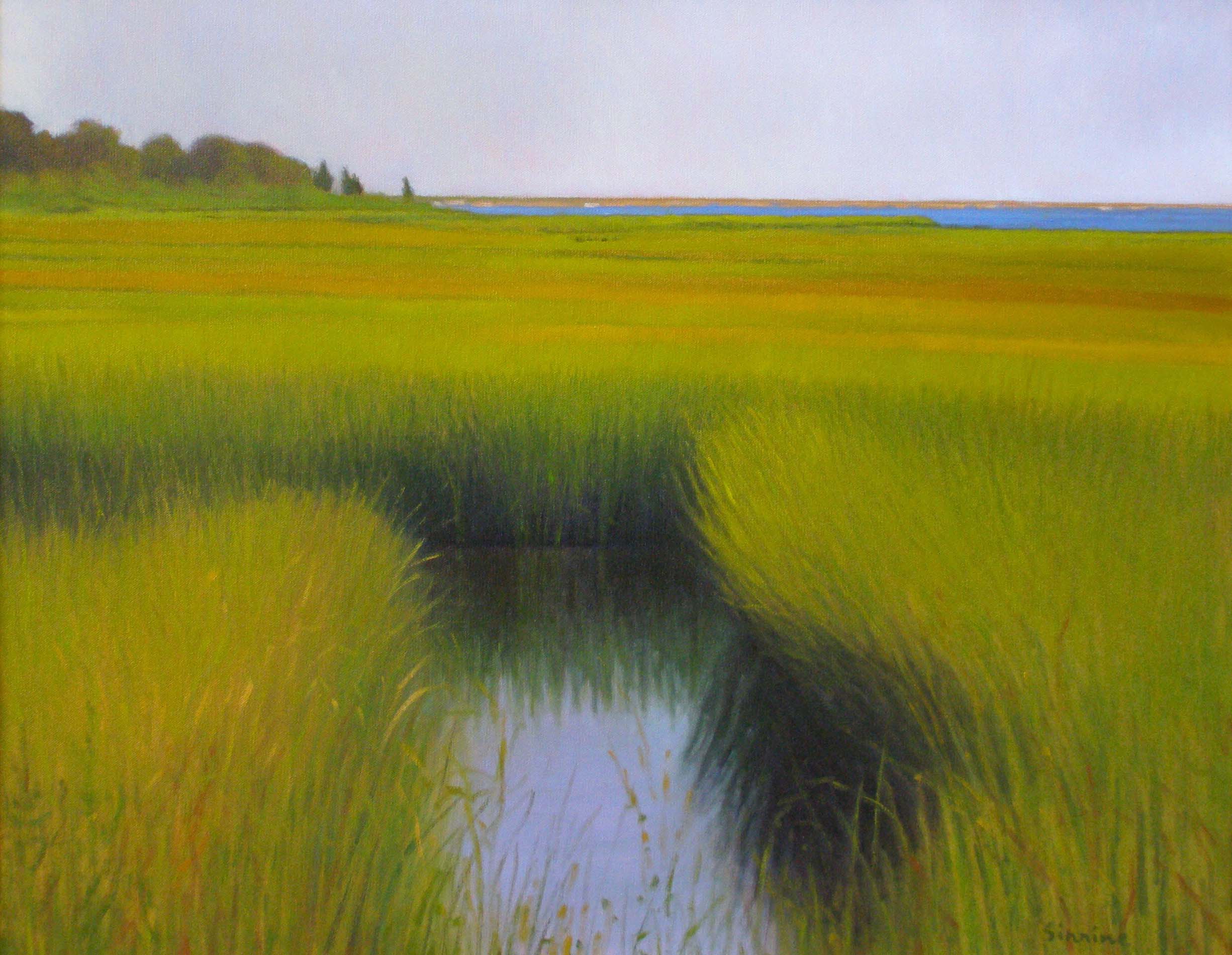 Marsh Art