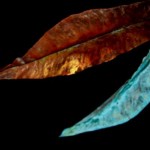 Leaves