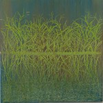 Grass Reflections