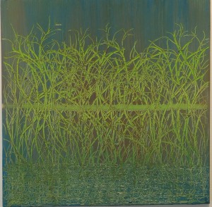 Grass Reflections