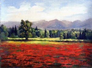 Provence en Printemps