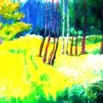 "Medium Yellow Meadow"