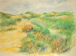 "Wellfleet Dunes"